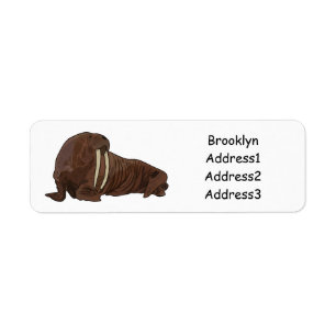 Analyse Walrus cartoon Etiket