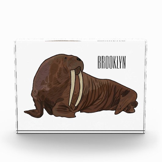 Analyse Walrus cartoon Fotoblokken (Voorkant)