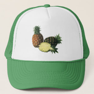 anananassen uit Hawaïti, biologisch fruit Trucker Pet