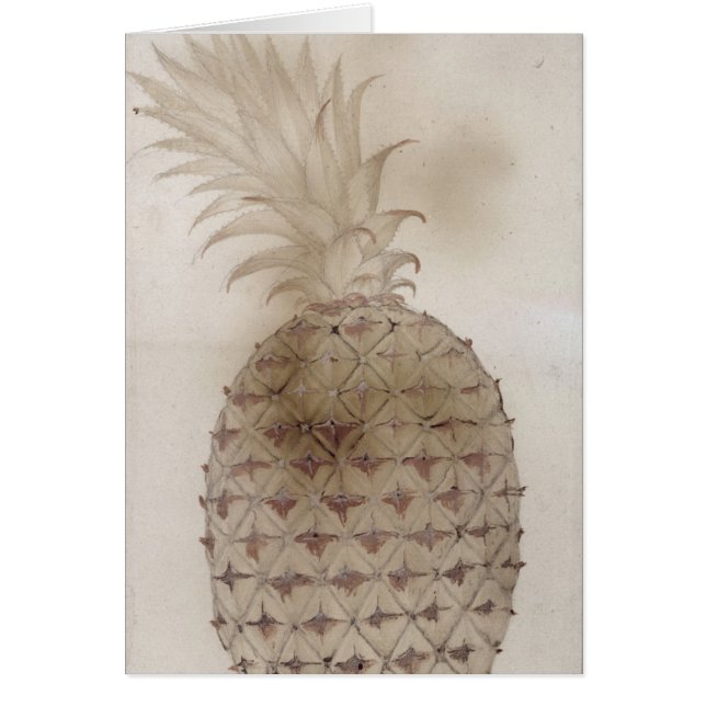 Ananas, (Devant)