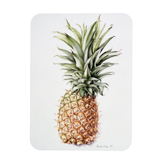 Ananas 1997 magneet (Verticaal)