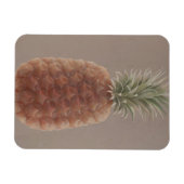 Ananas 2012 magneet (Horizontaal)