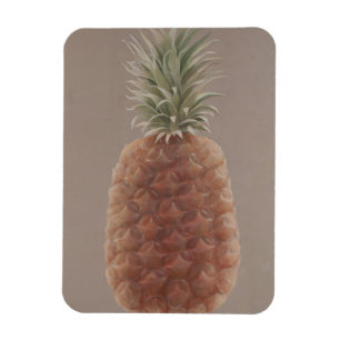 Ananas 2012 magneet