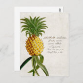ananas briefkaart (Voorkant / Achterkant)
