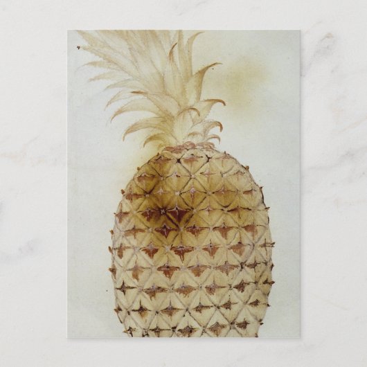 ananas briefkaart (Voorkant)