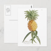 ananas briefkaart (Voorkant / Achterkant)