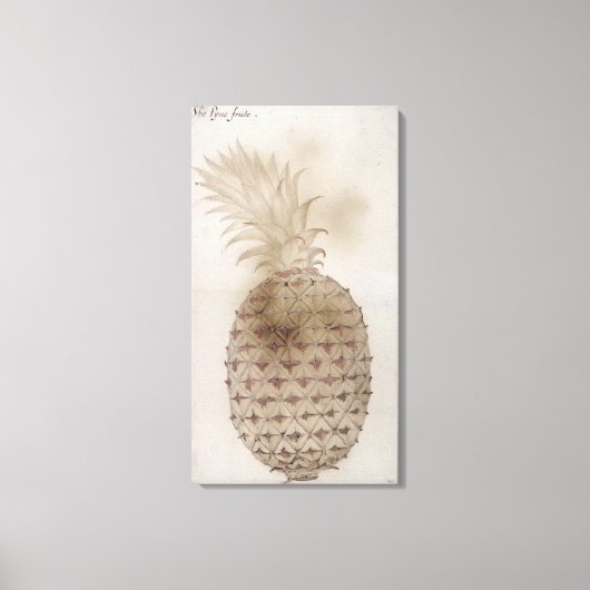ananas, canvas afdruk (Voorkant)