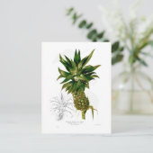 Ananas comosus briefkaart (Staand voorkant)