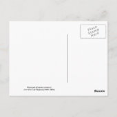 Ananas comosus briefkaart (Achterkant)