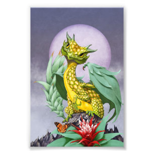 Ananas Dragon 4x6 Afdrukken Foto Afdruk