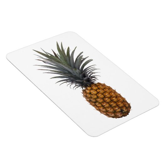 Ananas fotomagneet magneet (Rechterzijde)