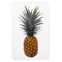 Ananas fotomagneet