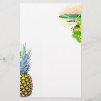 Ananas Fruit Strand Dessert Kleurrijk Tropisch Flyer