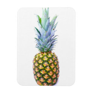 Ananas Fruit Strand Dessert Kleurrijk Tropisch Magneet