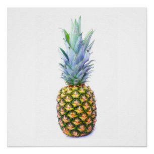 Ananas Fruit Strand Dessert Kleurrijk Tropisch Perfect Poster