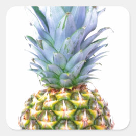 Ananas Fruit Strand Dessert Kleurrijk Tropisch Vierkante Sticker