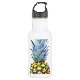 Ananas Fruit Strand Dessert Kleurrijk Tropisch Waterfles
