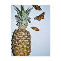 Ananas Fun