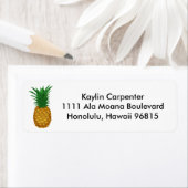 Ananas gastvrijheid etiket (Insitu)