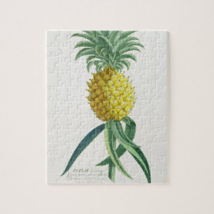 Ananas gegraveerd door Johann Jakob Haid (1704-67) Legpuzzel