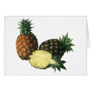 Ananas Hawaïens Vintage, Fruits Alimentaires Biolo