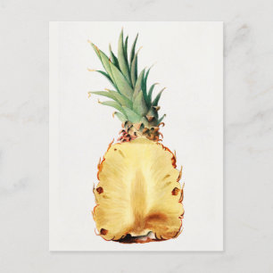 Ananas in halve Waterverf Briefkaart