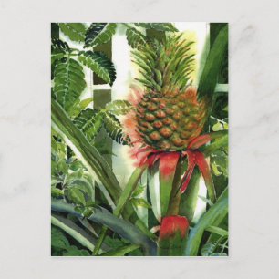 Ananas in het Oerwoud Briefkaart
