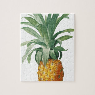 ananas legpuzzel
