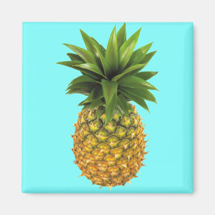 ananas magneet