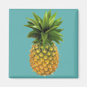 ananas magneet