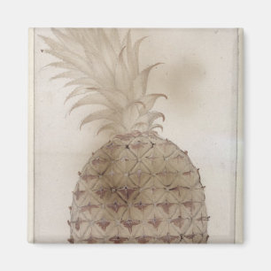 ananas, magneet