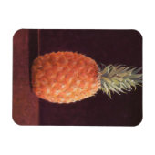 ananas magneet (Horizontaal)
