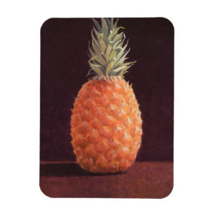 ananas magneet