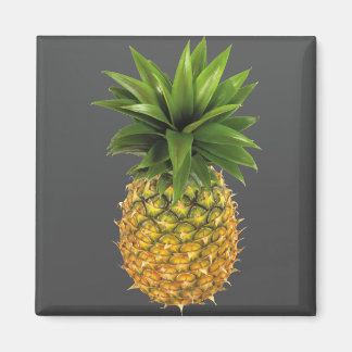 ananas magneet