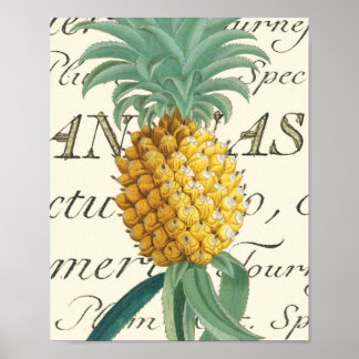 Ananas met kalligrafisch detail poster
