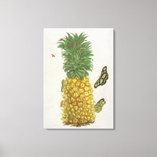 ananas met rupsbanden en vlinders (hand-c) canvas afdruk