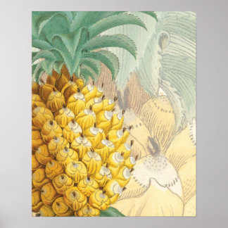 Ananas met uitbreiding poster