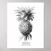 ananas poster (Voorkant)