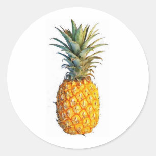 ananas ronde sticker