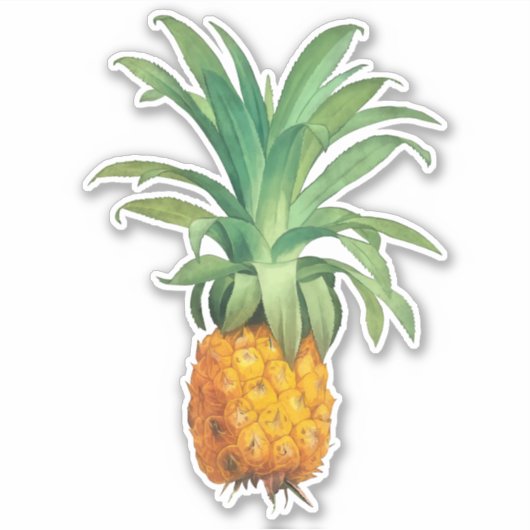 ananas sticker (Voorkant)