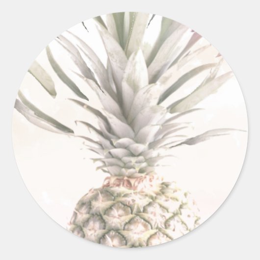 Ananas Stickers (Voorkant)