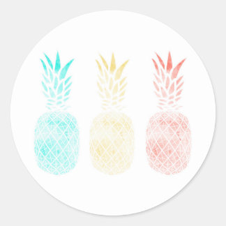 Ananas Stickers, Tropical Gift, Ananas Art Ronde Sticker