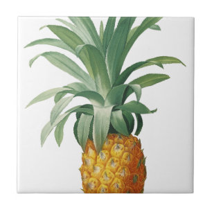 ananas tegeltje