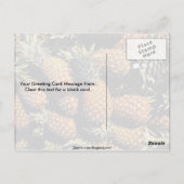 Ananas, Tulum, Mexico Briefkaart (Achterkant)