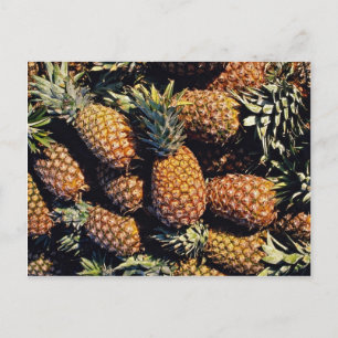 Ananas, Tulum, Mexico Briefkaart