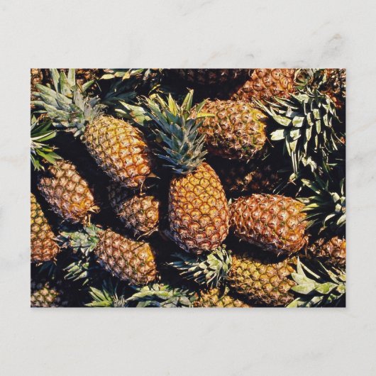 Ananas, Tulum, Mexico Briefkaart (Voorkant)