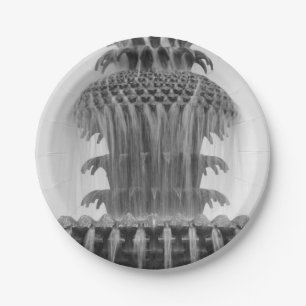 Ananas verzachten papieren bordje