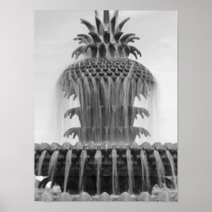Ananas verzachten poster