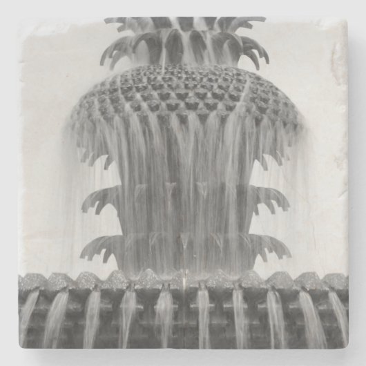 Ananas verzachten stenen onderzetter (Voorkant)