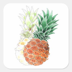 ananas, zoet koppel, vierkante sticker